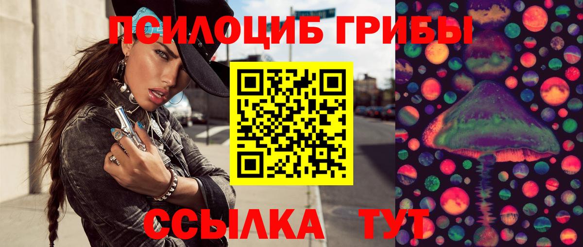 Псилоцибиновые грибы Magic Shrooms  Вход с VPN  Сухой Лог  Галлюциногенные грибы Psilocybe 
