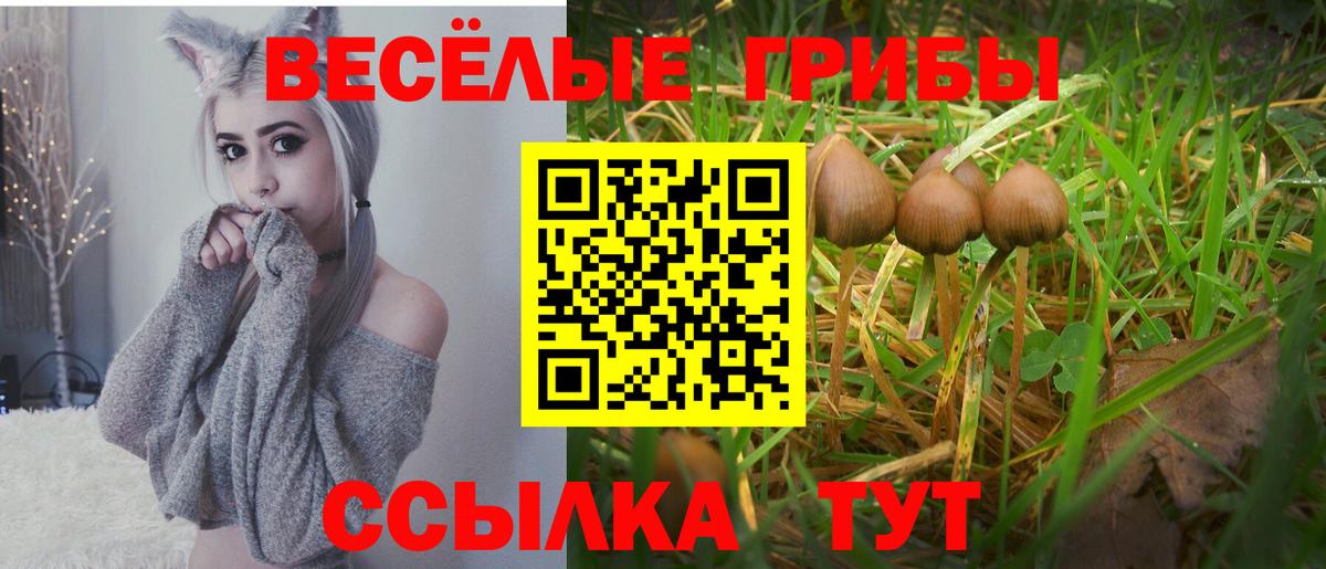 Псилоцибиновые грибы прущие грибы Сухой Лог